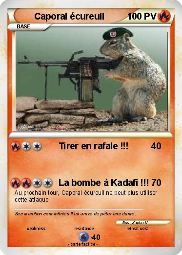 Pokemon Caporal écureuil