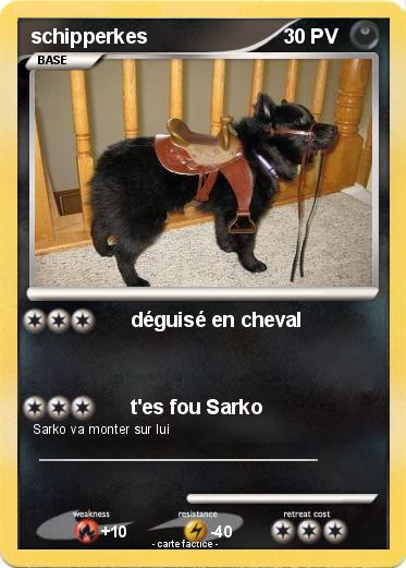 Pokemon schipperkes