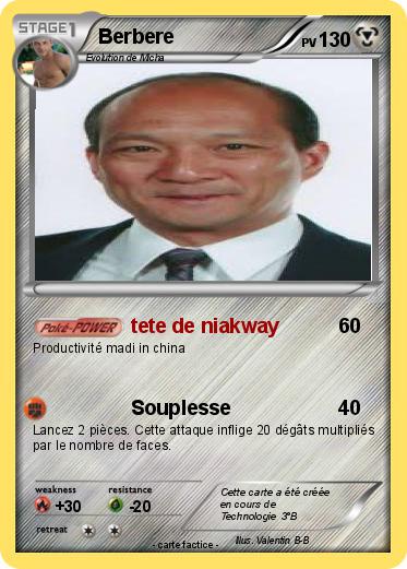 Pokemon Berbere