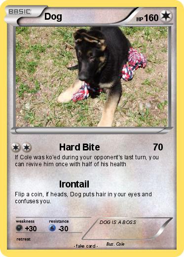 Pokemon Dog