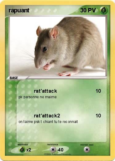 Pokemon rapuant