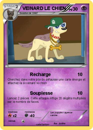 Pokemon VEINARD LE CHIEN