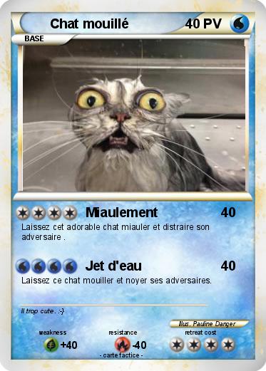 Pokemon Chat mouillé