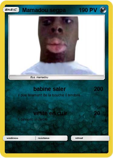 Pokemon Mamadou segpa