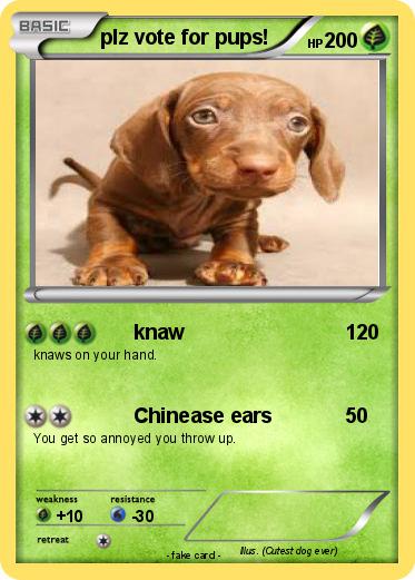 Pokemon plz vote for pups!