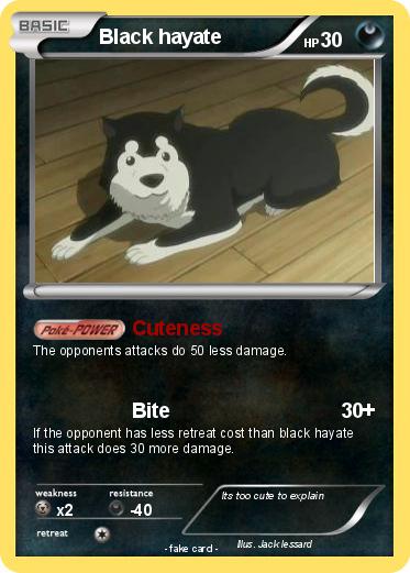 Pokemon Black hayate