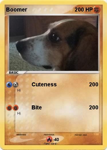 Pokemon Boomer