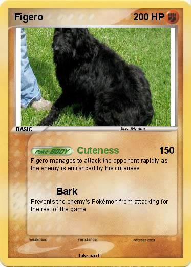 Pokemon Figero