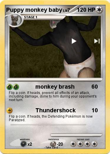 Pokemon Puppy monkey baby