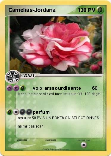Pokemon Camelias-Jordana