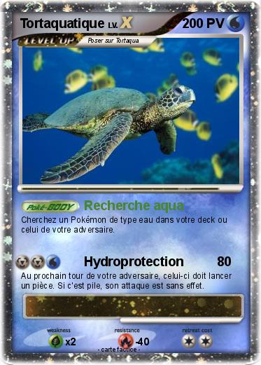 Pokemon Tortaquatique