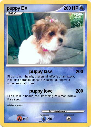 Pokemon puppy EX
