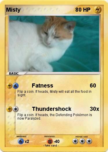Pokemon Misty
