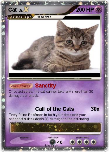 Pokemon Cat