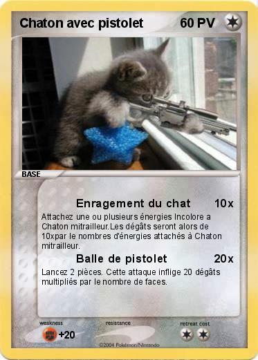 Pokemon Chaton avec pistolet