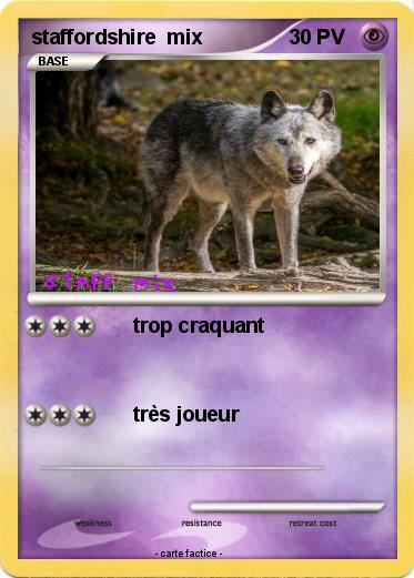 Pokemon staffordshire  mix