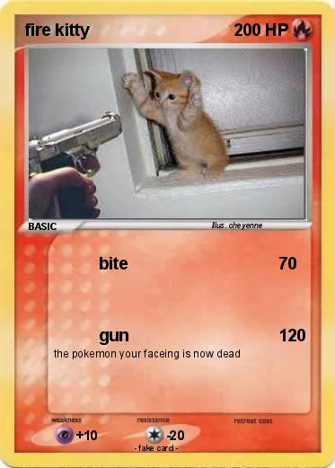 Pokemon fire kitty