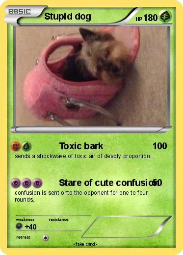 Pokemon Stupid dog