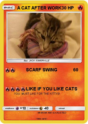 Pokemon A CAT AFTER WORK