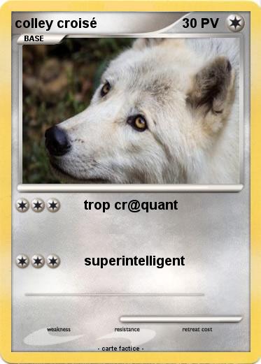 Pokemon colley croisé