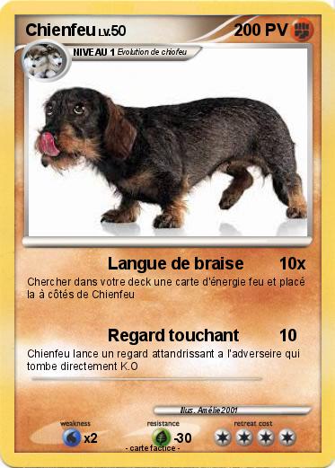 Pokemon Chienfeu