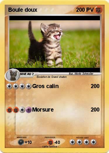 Pokemon Boule doux