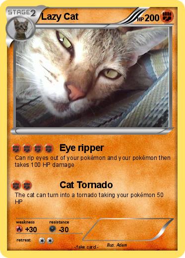 Pokemon Lazy Cat