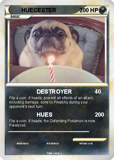 Pokemon HUECESTER