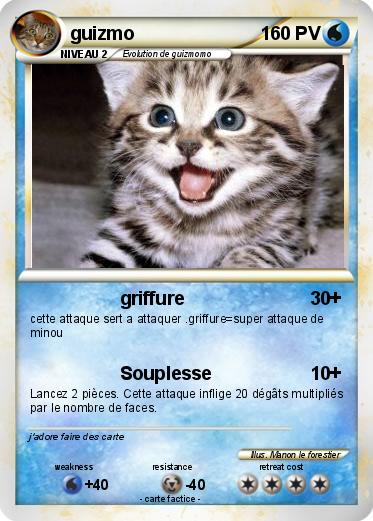 Pokemon guizmo