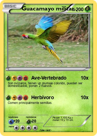 Pokemon Guacamayo militar