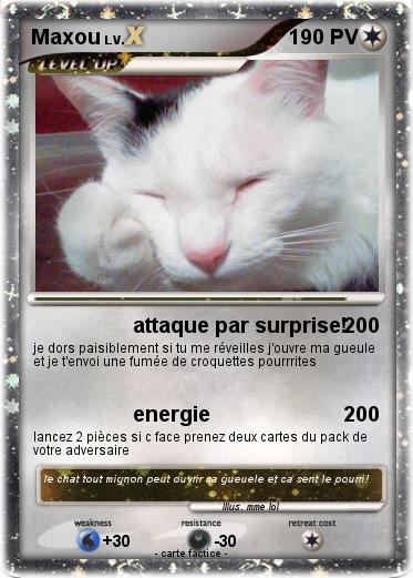 Pokemon Maxou