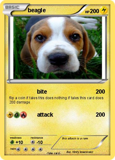 Pokemon beagle