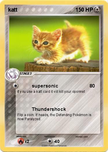 Pokemon katt