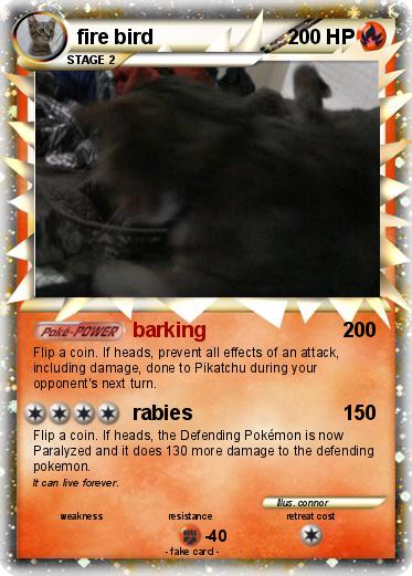 Pokemon fire bird
