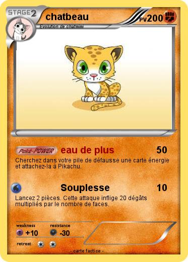 Pokemon chatbeau