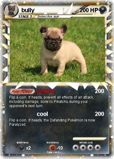 Pokemon bully