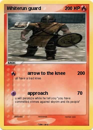 Pokemon Whiterun guard