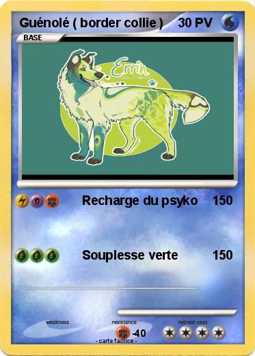 Pokemon Guénolé ( border collie )