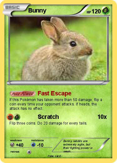 Pokemon Bunny