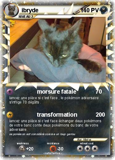 Pokemon ibryde