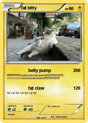 Pokemon fat kitty