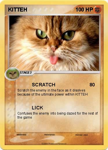 Pokemon KITTEH