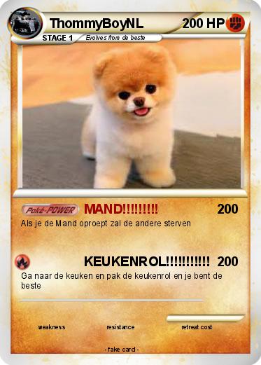 Pokemon ThommyBoyNL