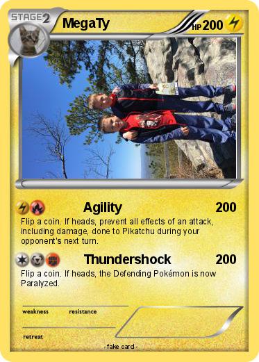 Pokemon MegaTy