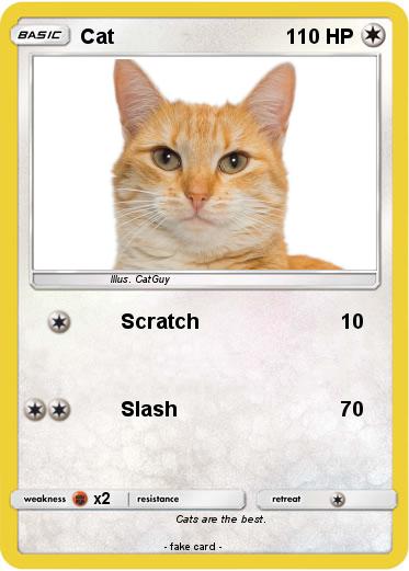 Pokemon Cat