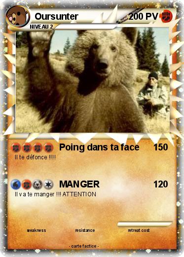 Pokemon Oursunter