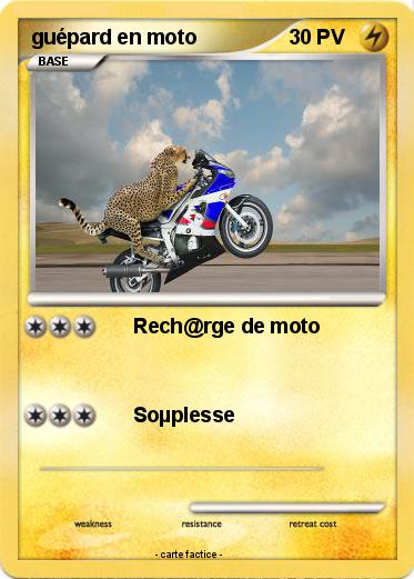 Pokemon guépard en moto