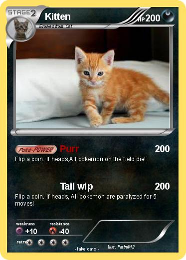 Pokemon Kitten