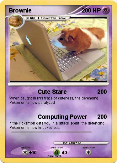 Pokemon Brownie