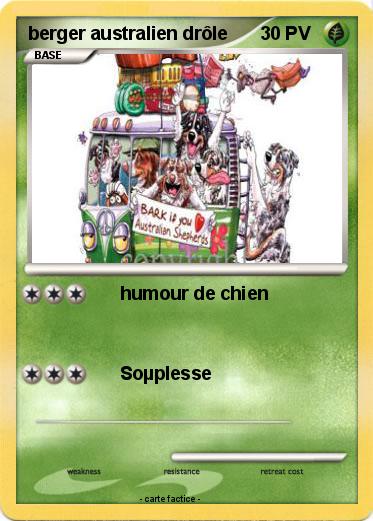 Pokemon berger australien drôle